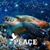 Sally Ann Carroll Taylor's profile image
