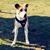 Gina Benfield's profile image