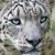 Kevin A. Maus's profile image