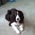 Joanne Woodruff's profile image