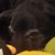 Lori Winterland Glawe's profile image