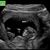 Julie Arnold's profile image