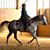 Lynn Maertz's profile image