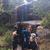 Anna Christine Marthen's profile image