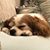 Kimberley Clarke-Campbell's profile image