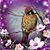 Geri Wildenberg's profile image