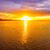 Mary Lane Reif's profile image