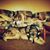 Teri Downard's profile image