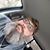 Joe Coleman's profile image