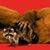 Shawn Reynolds's profile image