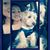 Jeraldine Buenrostro's profile image