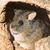 Lee Kline's profile image