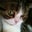 Jenny's profile image