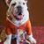 Bob Stillwell's profile image