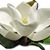 Barbara Barnes's profile image