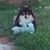 Beverly Davis's profile image