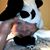 Wayne Dippel's profile image
