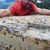 Gilbert Aldrich's profile image