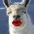 Jennifer Mattivi Payne's profile image