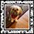 Bev Morris's profile image