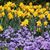 Deborah Marsh's profile image