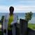 Dawn Sheldon's profile image