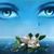 Paola Toledo's profile image