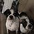 Missy Evans's profile image