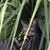 Jackie Hochstadt's profile image