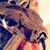 Kenny Cohen's profile image
