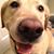 Jo Wrzesinsky's profile image