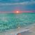 Jodi DeCamillo's profile image