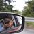 Jorginio Beltran's profile image