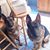 Mary Anne Rialdi Greninger's profile image