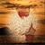 Terry Hatch's profile image