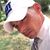 Rich Lennox's profile image