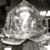 Robert Fratus's profile image
