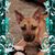 Deb Hershberger-Garb's profile image