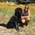 Rachel Critchell's profile image