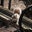 Marcello C's profile image