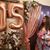 Denise Rosario's profile image