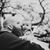 Dalton Stjohn Hamc's profile image