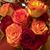 Darlene Pullen's profile image