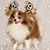 Claudia Estacuy's profile image