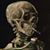 Darian Finck's profile image