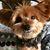 Hilary Esposto's profile image