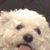 Joseph Lim's profile image