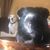 Trista Serrano's profile image