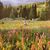 Diane Redin's profile image