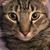 Duranda Gregory's profile image